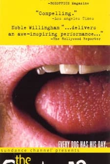 The Corndog Man (1999) afişi