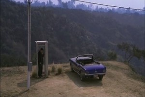 Yedi Kız Arkadaşım Fotoğrafı