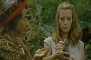 Sihirli İksirin Peşinde fotoğrafı