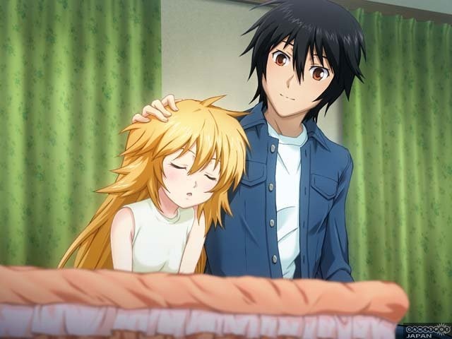Sekirei Fotoğrafı