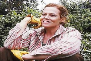 Sisteki Goriller Fotoğrafı