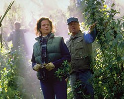 Sisteki Goriller Fotoğrafı