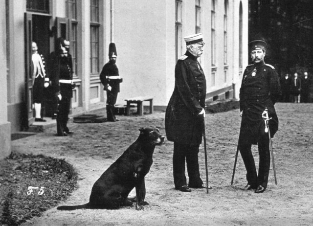 Majestät Brauchen Sonne fotoğrafı