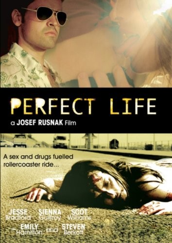 Perfect Life (2010) afişi