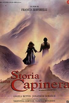 Serçe (1993) afişi