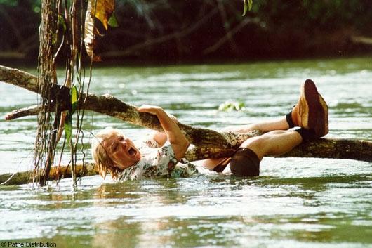 The Son Of Français fotoğrafı