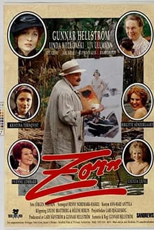 Zorn (1994) afişi