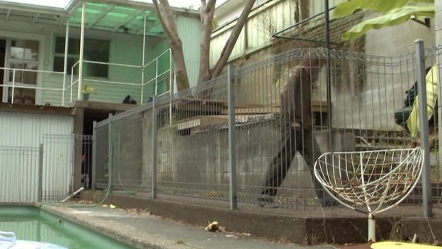 A Song Of Good fotoğrafı