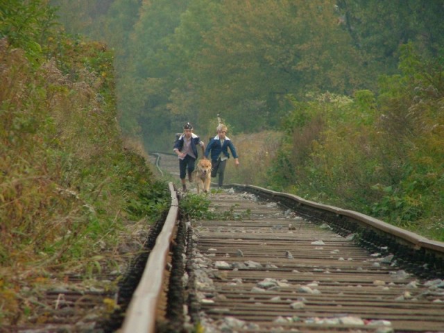 Skazany na bluesa fotoğrafı