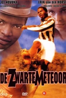 De Zwarte Meteoor (2000) afişi
