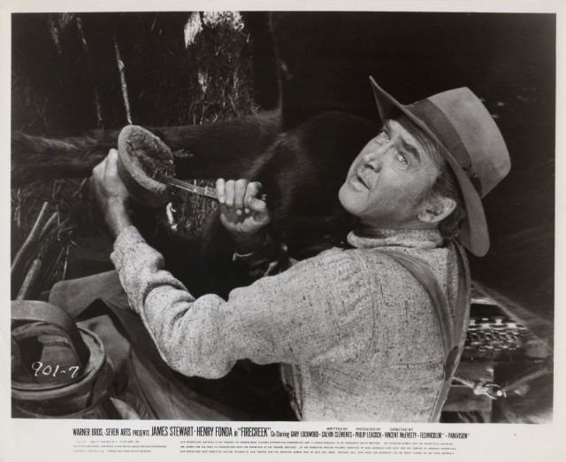 Firecreek fotoğrafı