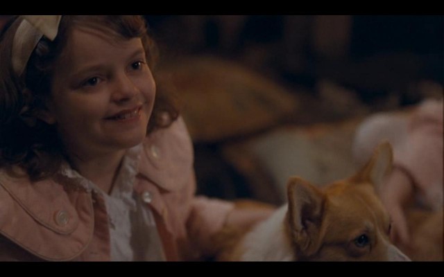 Zoraki Kral Fotoğrafı