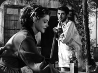 The Tender Enemy fotoğrafı