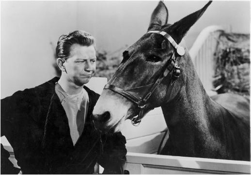 Francis in the Navy fotoğrafı