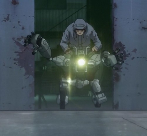 Rideback fotoğrafı