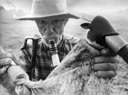 Pictures Of The Old World fotoğrafı