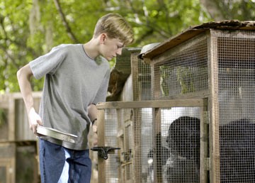 Benji: Off The Leash! fotoğrafı