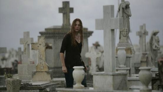 Ziyaretçi (ıı) Fotoğrafı