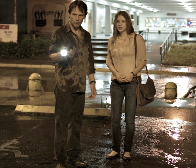 Ziyaretçi (ıı) Fotoğrafı