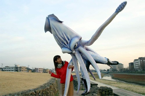 The Calamari Wrestler fotoğrafı