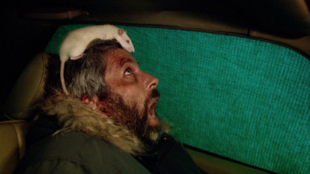 Forever Never Anywhere fotoğrafı