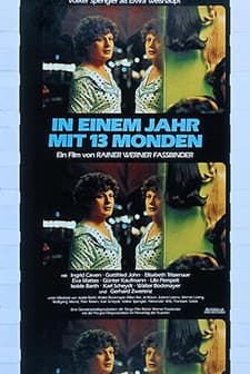 In A Year With 13 Moons (1978) afişi