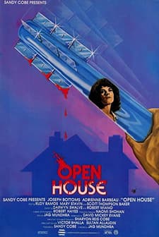 Open House (1987) afişi