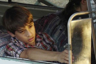 Night Fliers fotoğrafı