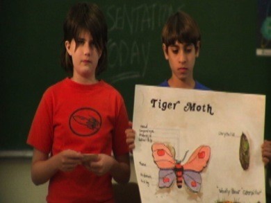 Night Fliers fotoğrafı