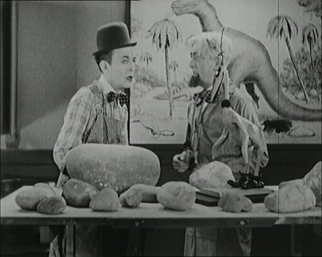 It's A Bird fotoğrafı