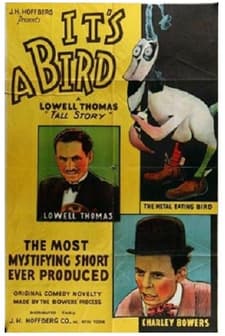 It's A Bird (1930) afişi