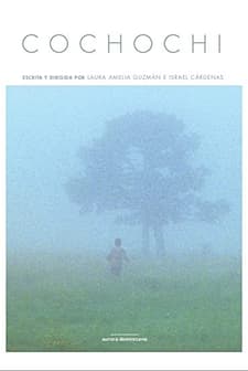 Cochochi (2007) afişi