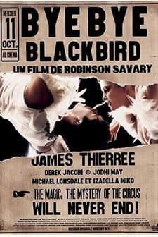 Bye Bye Blackbird (2005) afişi