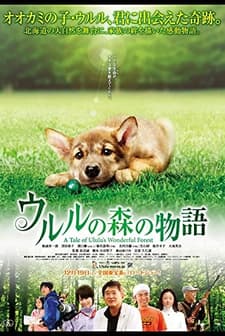 A Tale of Ululu's Wonderful Forest (2009) afişi
