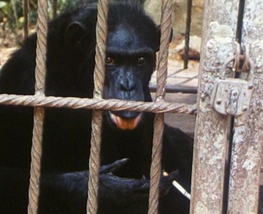 Echoes From A Somber Empire fotoğrafı