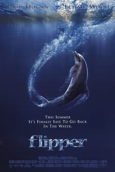 Flipper (1996) afişi