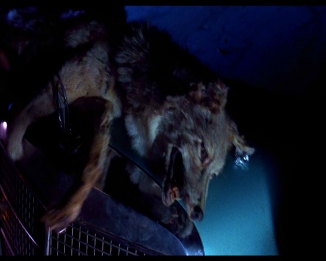 Leatherface: Texas Chainsaw Massacre III Fotoğrafı