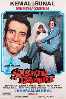 Şaşkın Damat (1975) afişi