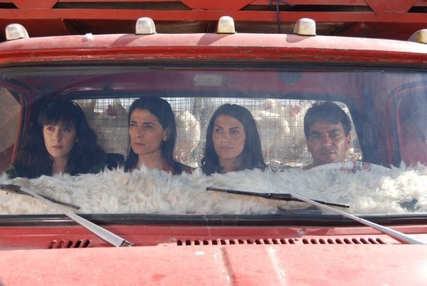 Everyday ıs A Holiday fotoğrafı