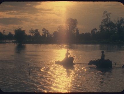 The Betrayal - Nerakhoon fotoğrafı