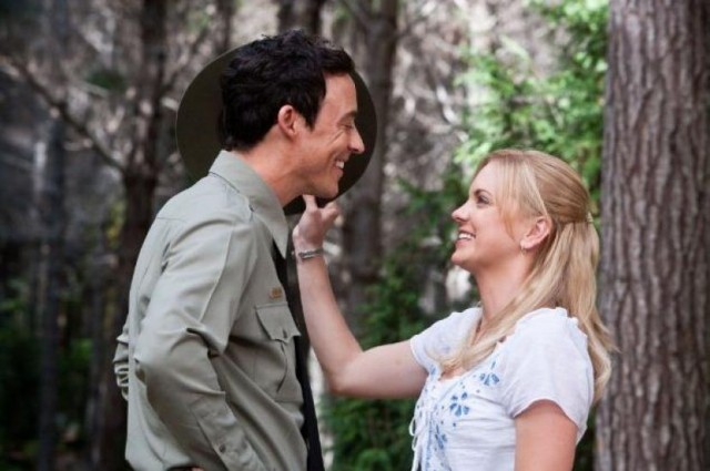 Ayı Yogi fotoğrafı