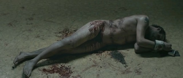 Katille 7 Gün fotoğrafı