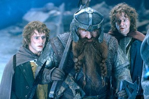 Yüzüklerin Efendisi: Yüzük Kardeşliği Fotoğrafı