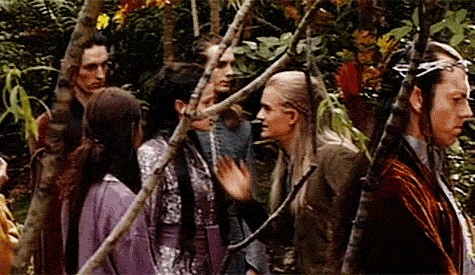 Yüzüklerin Efendisi: Yüzük Kardeşliği Fotoğrafı