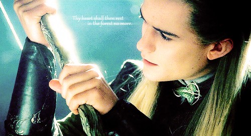 Yüzüklerin Efendisi: Yüzük Kardeşliği Fotoğrafı