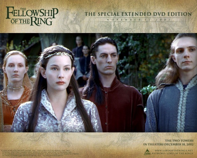 Yüzüklerin Efendisi: Yüzük Kardeşliği Fotoğrafı