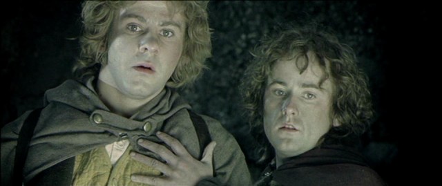 Yüzüklerin Efendisi: Yüzük Kardeşliği Fotoğrafı