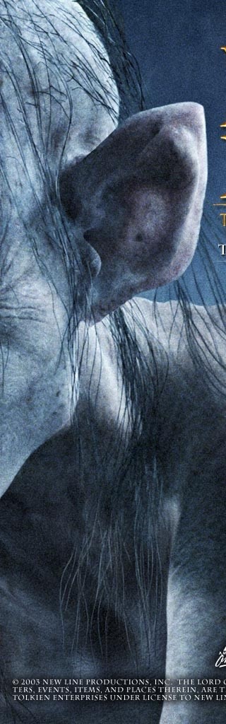 Yüzüklerin Efendisi: Kralın Dönüşü Fotoğrafı