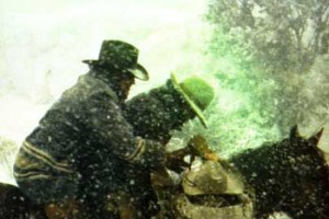 İhtiras Tomurcukları fotoğrafı