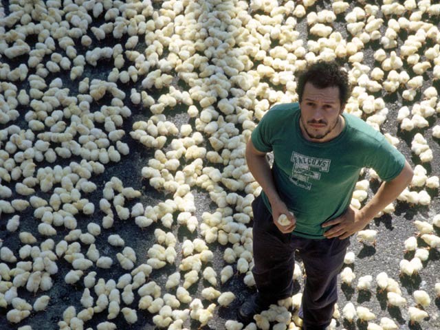 Provincia Meccanica fotoğrafı